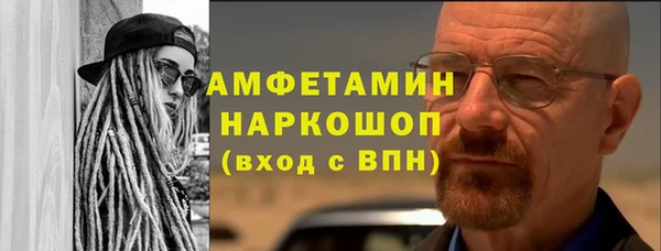 ПСИЛОЦИБИНОВЫЕ ГРИБЫ Абаза