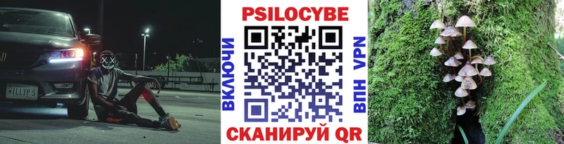 Псилоцибиновые грибы GOLDEN TEACHER OMG онион Зея купить наркотик